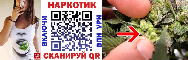 Магазины продажи наркотиков Беломорск АМФЕТАМИН  Кокаин  ГАШ  МАРИХУАНА 