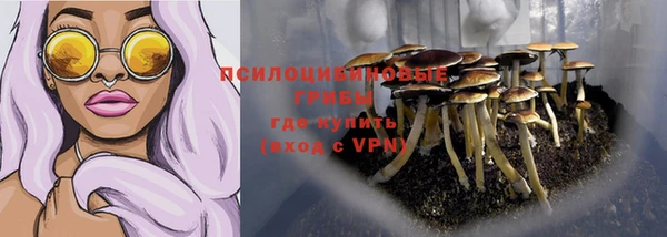 PSILOCYBIN Алексеевка