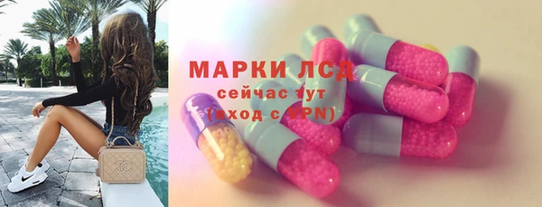 PSILOCYBIN Алзамай