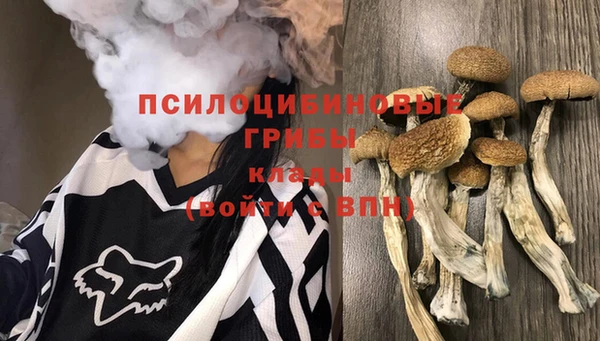 прущие крисы Алексин