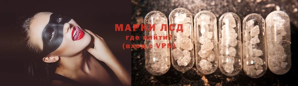прущие грибы Армянск
