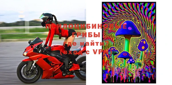 PSILOCYBIN Алексеевка