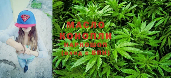 PSILOCYBIN Алзамай