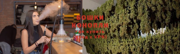PSILOCYBIN Алексеевка